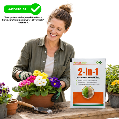 RootBlaze™ 2-i-1 Max Power ukrudtsbekæmper | Se ukrudtet visne inden for blot 6 timer!